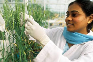 agri scientist